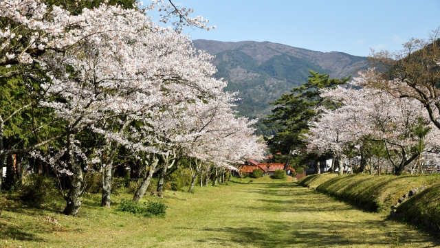 創作工房「拘」 | 唯一無二の昂奮を求めて